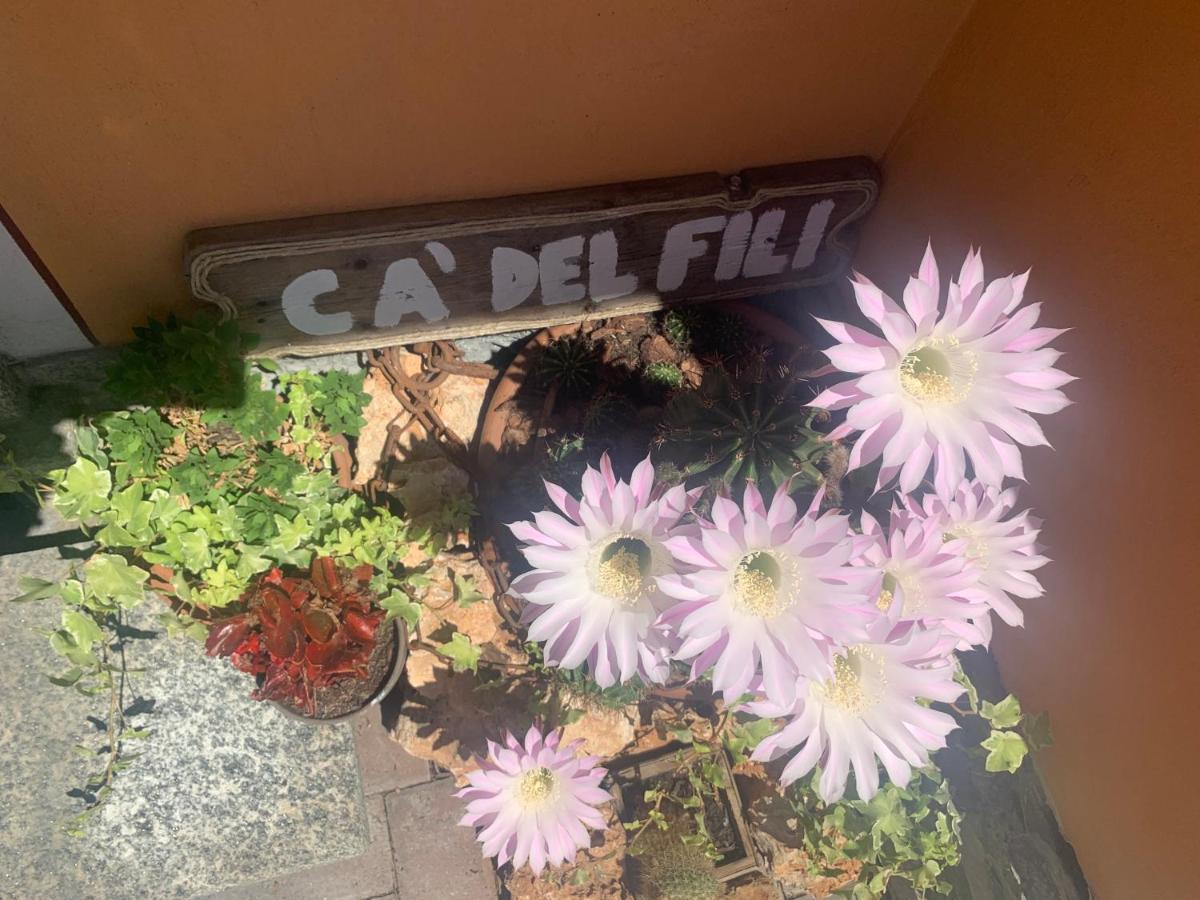 Ca Del Fili Villa Lenno Dış mekan fotoğraf